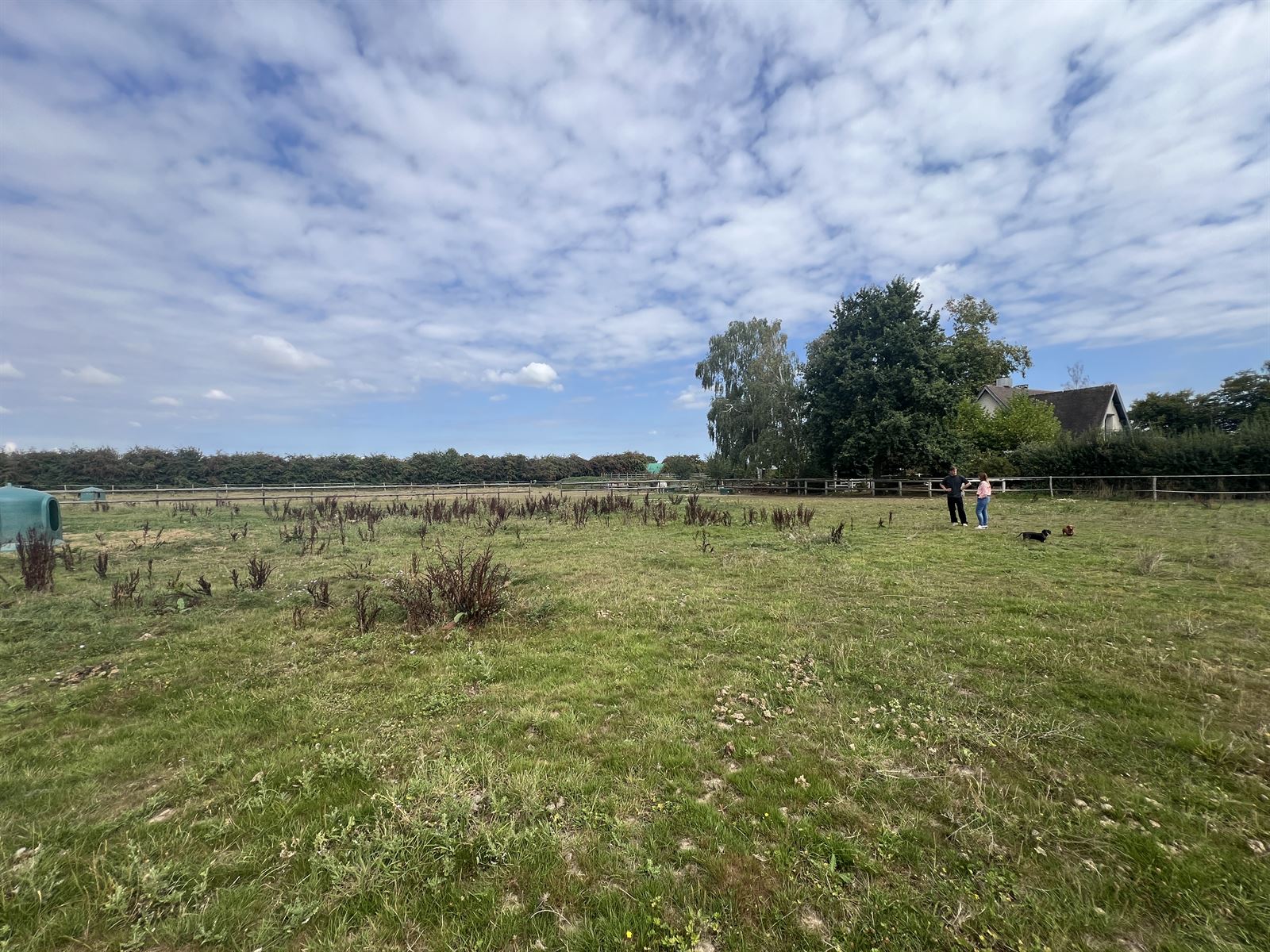 Le terrain d'implantation
